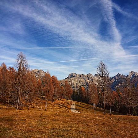 Voss Haus- Ferienwohnung Freiraum Sankt Lorenzen im Lesachtal Экстерьер фото