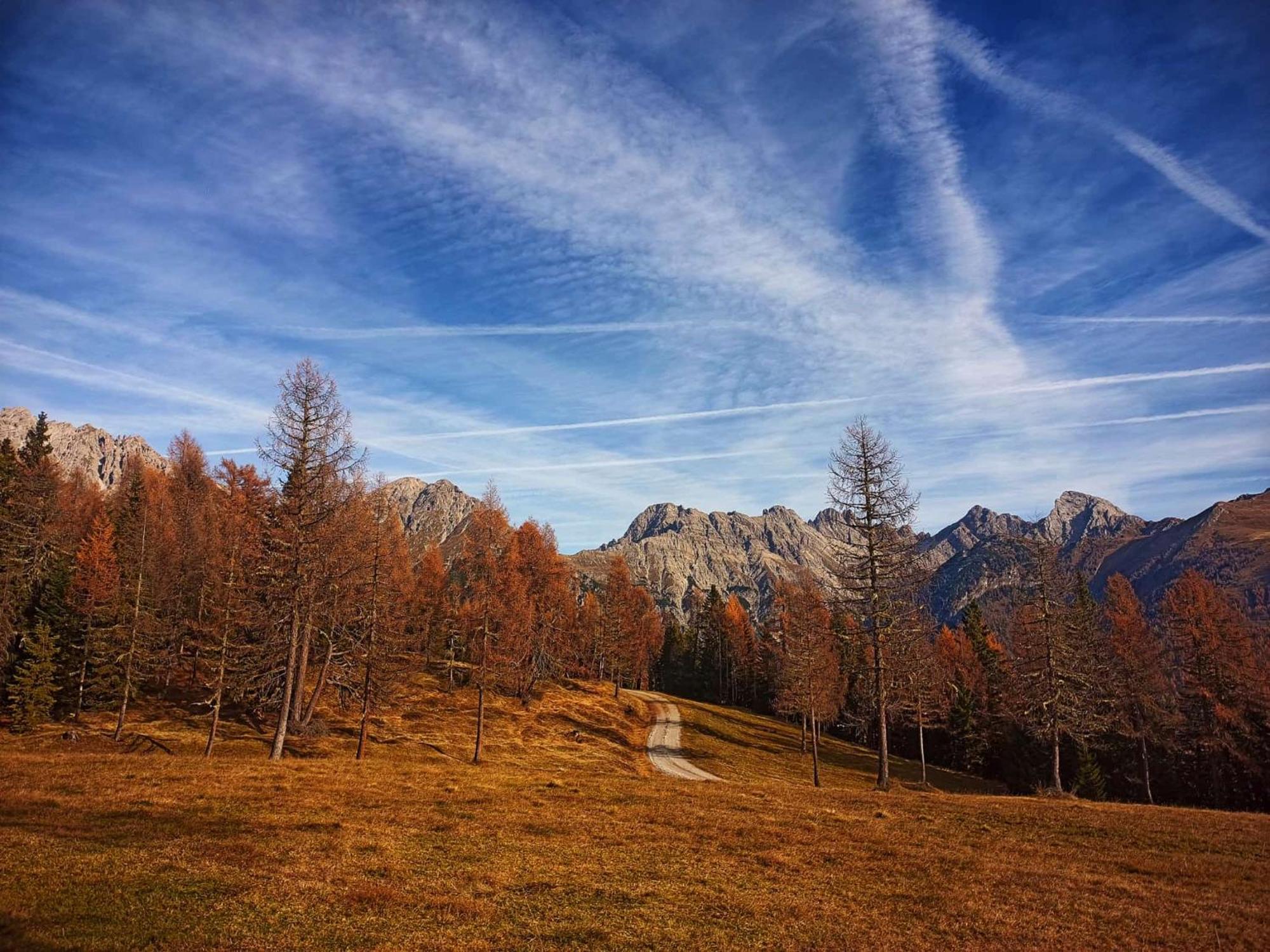 Voss Haus- Ferienwohnung Freiraum Sankt Lorenzen im Lesachtal Экстерьер фото